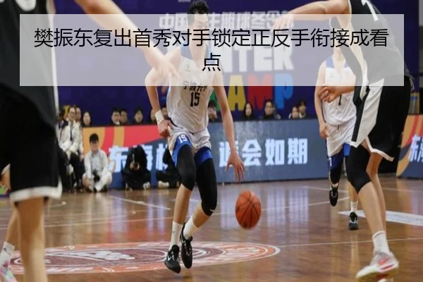 樊振东复出首秀对手锁定正反手衔接成看点 | YYSports